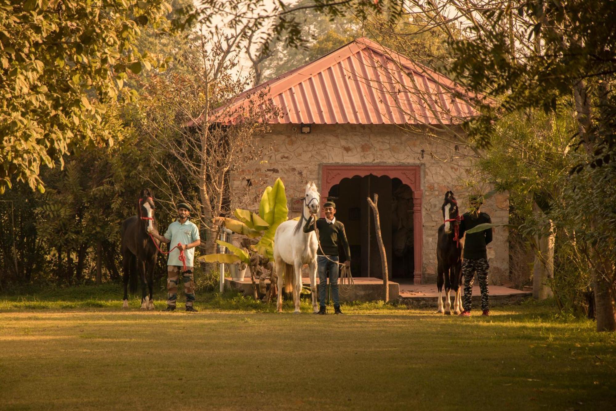 Maa Ashapura Resort Sawai Madhopur Esterno foto